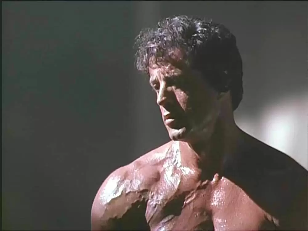 「スペシャリスト」シルベスター・スタローンの画像