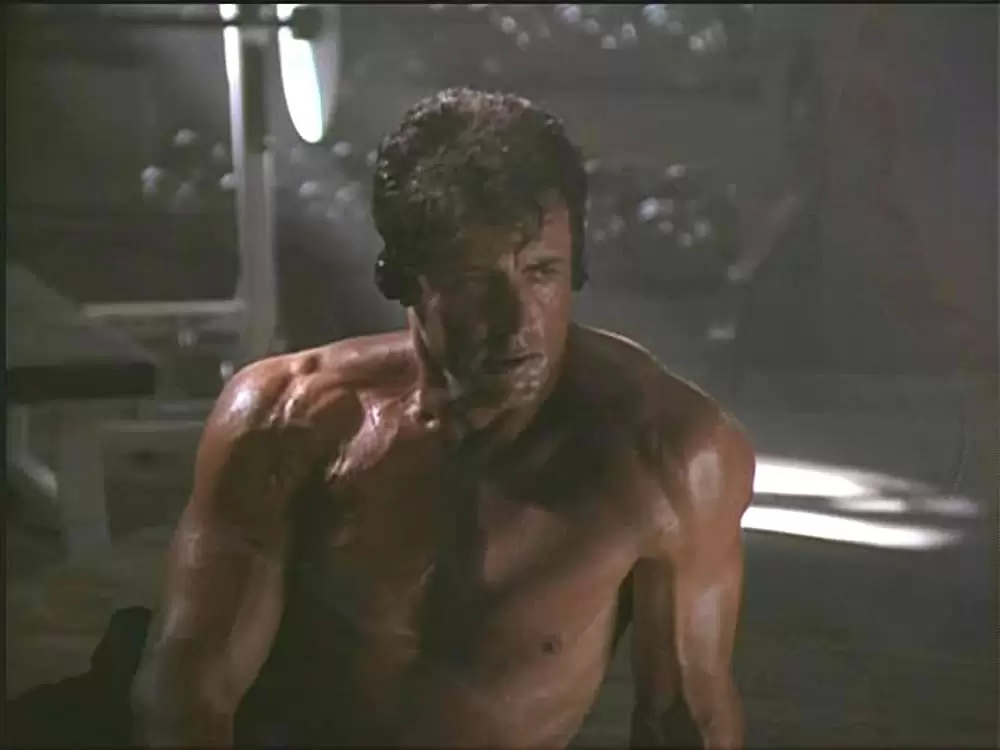 「スペシャリスト」シルベスター・スタローンの画像