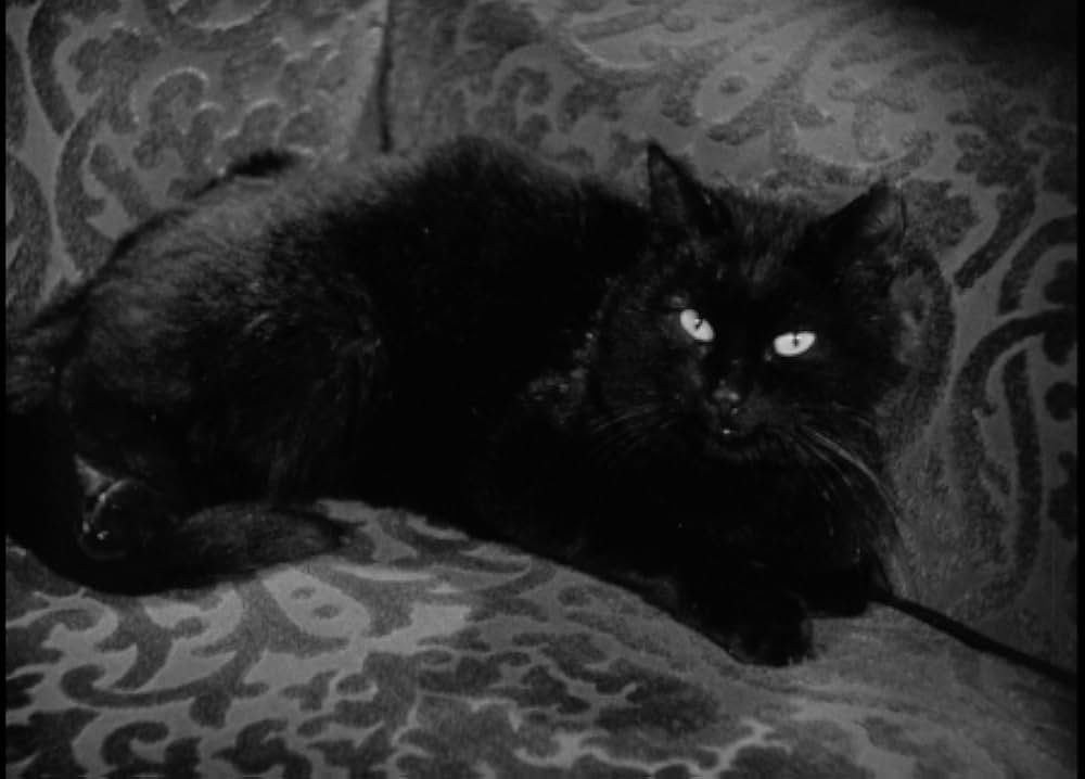 The Mad Doctor（原題）の画像