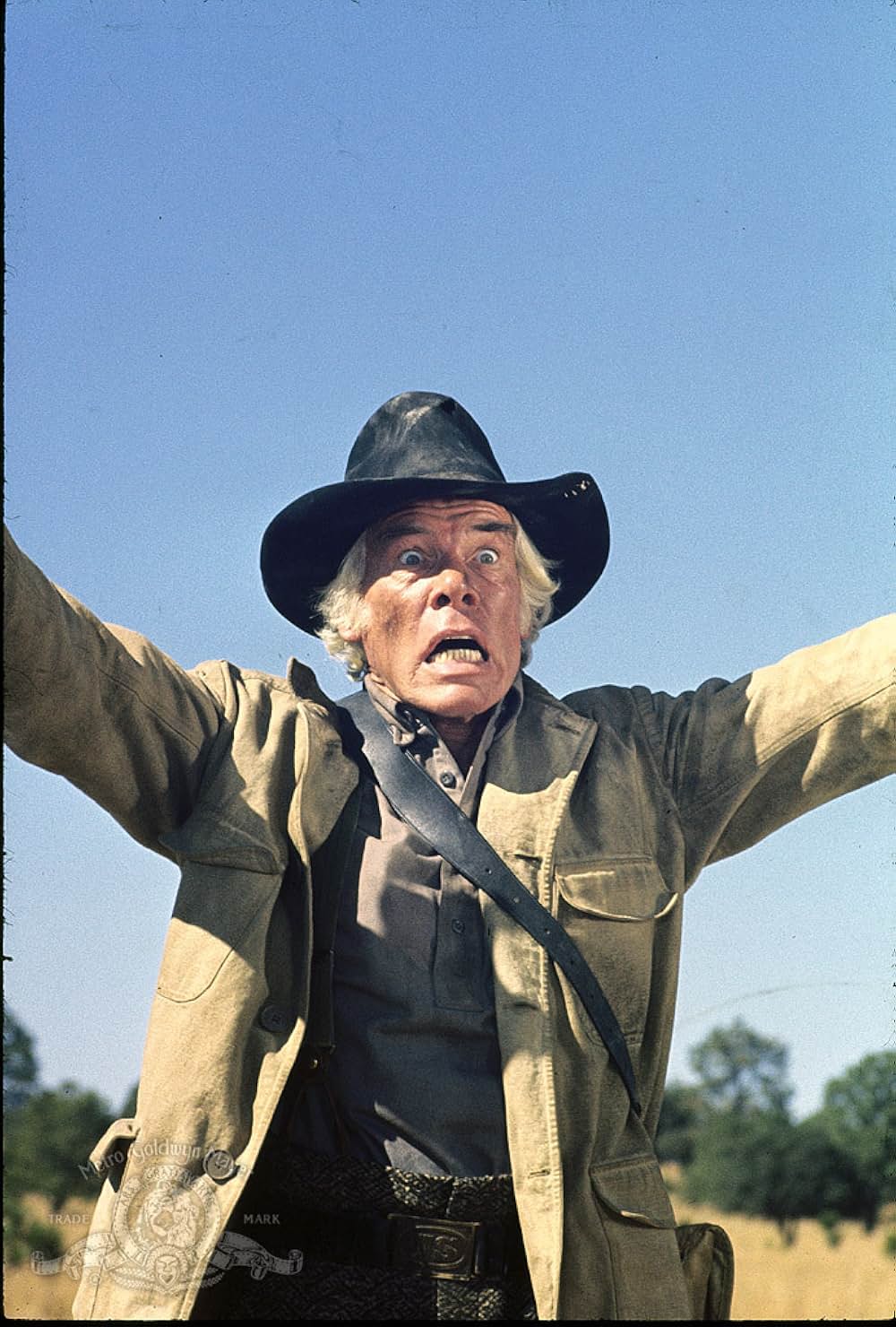 グレート・サム／サギ師と令嬢の画像