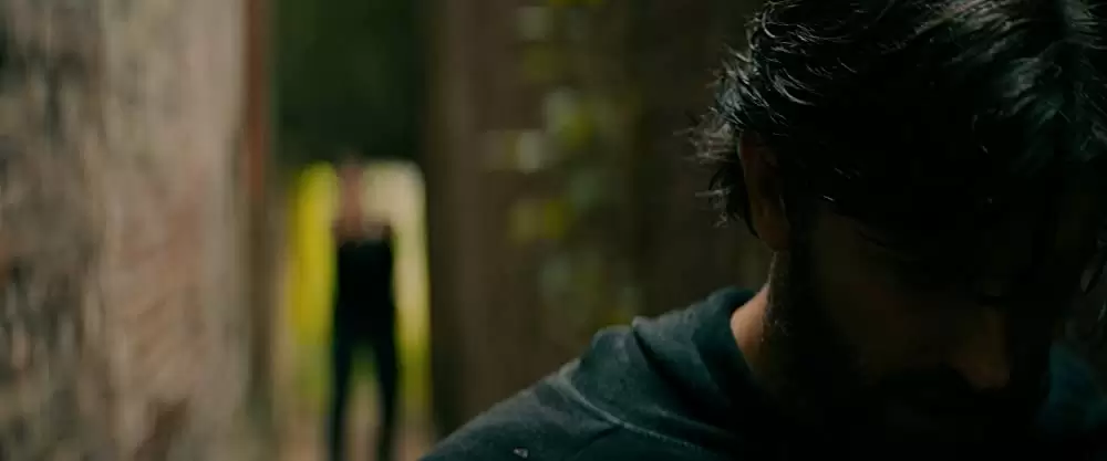 ライブリポートの画像