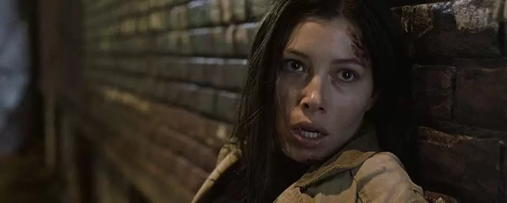 トールマンの画像