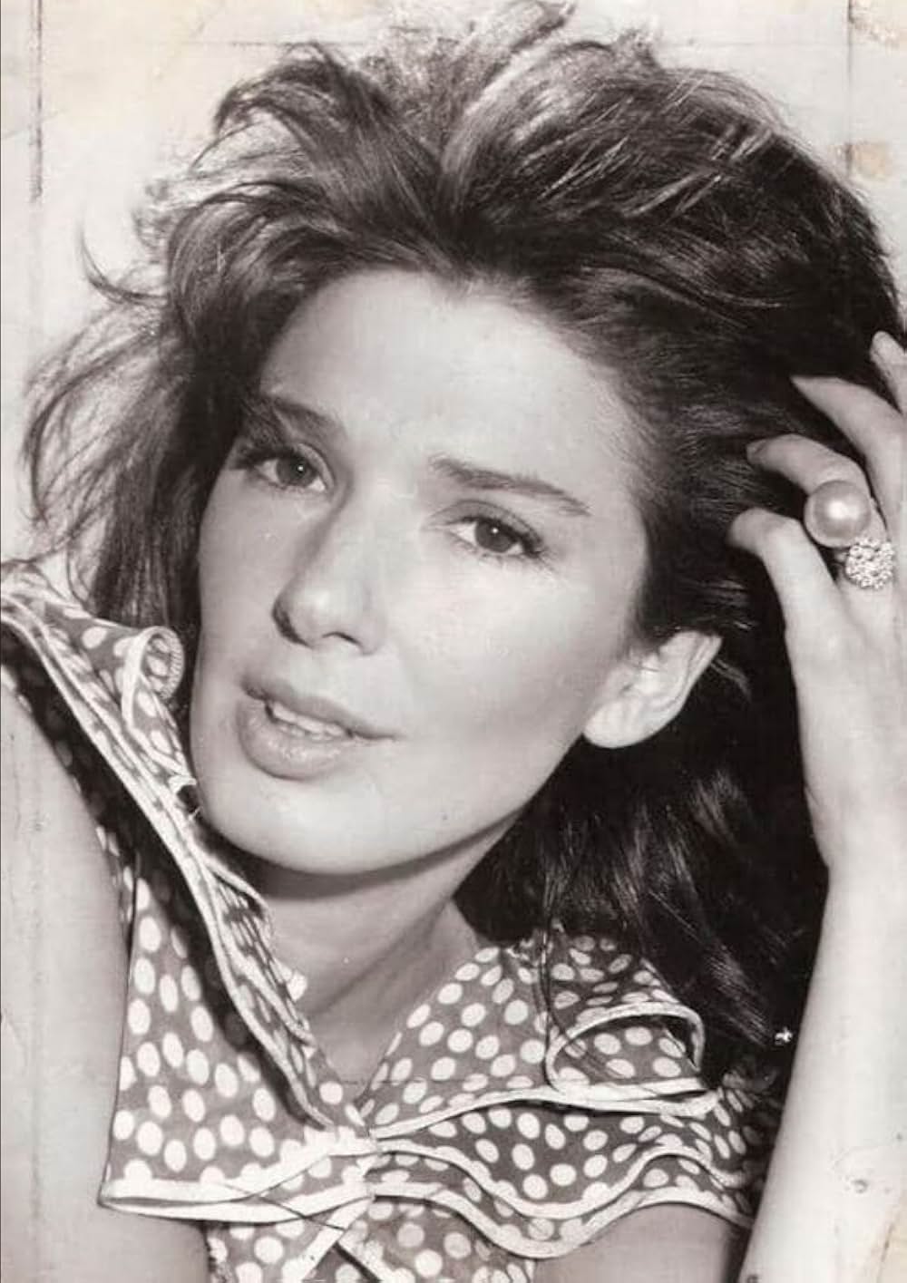 バンディダスの画像