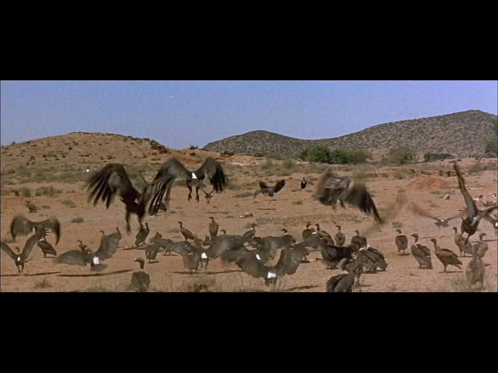 北西戦線の画像