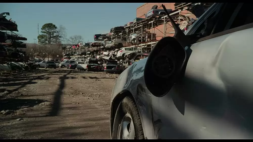 ベアリー・リーサルの画像