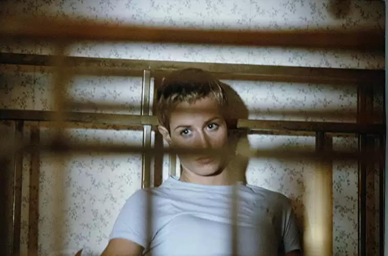 「ハイテンション」セシル・ドゥ・フランスの画像