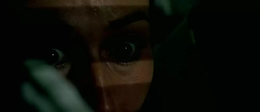 「ハイテンション」セシル・ドゥ・フランスの画像