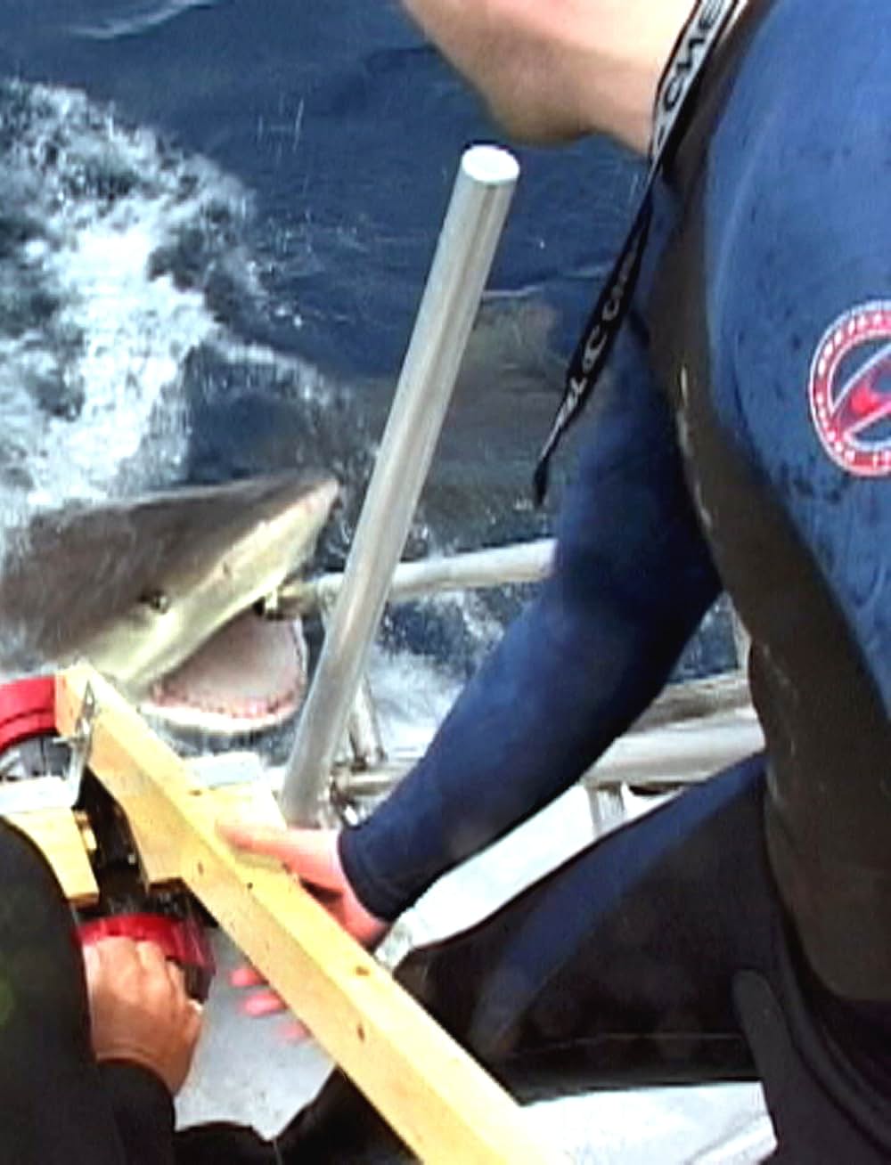 オープン・ウォーターの画像