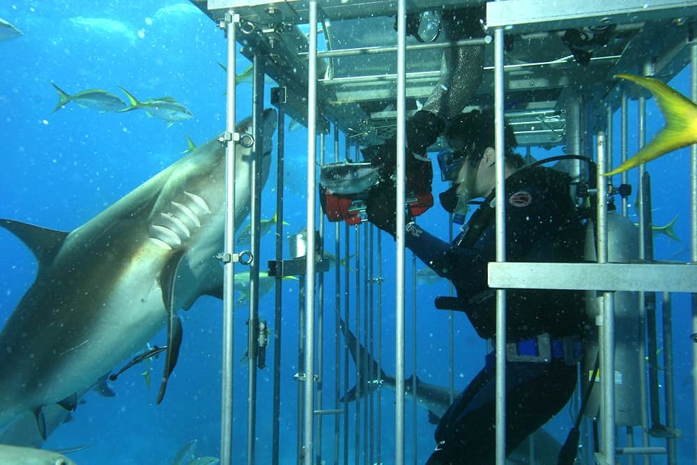 オープン・ウォーターの画像