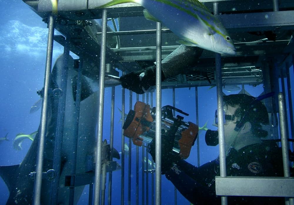 オープン・ウォーターの画像