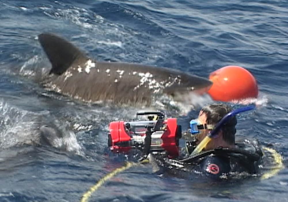 オープン・ウォーターの画像