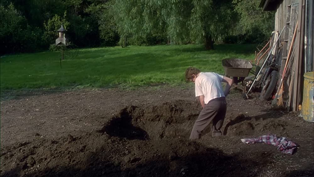 フレイルティー／妄執の画像