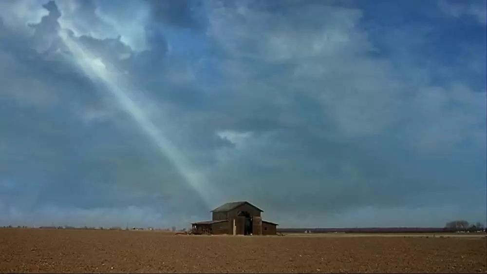 フレイルティー／妄執の画像