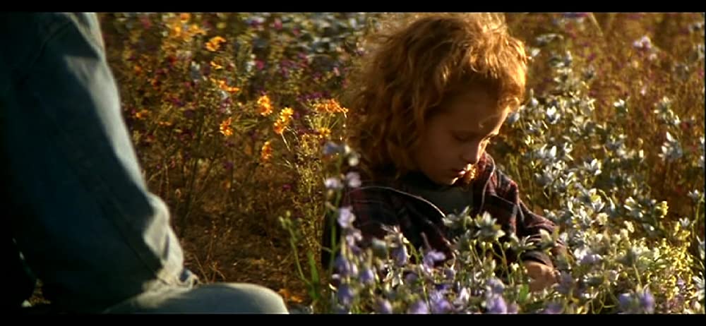 フェノミナンの画像