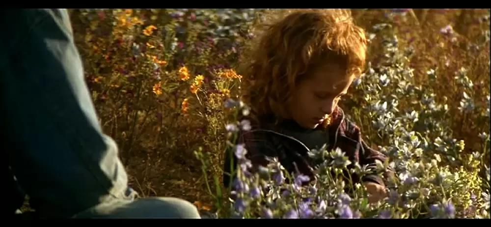 「フェノミナン」Ashley Buccilleの画像