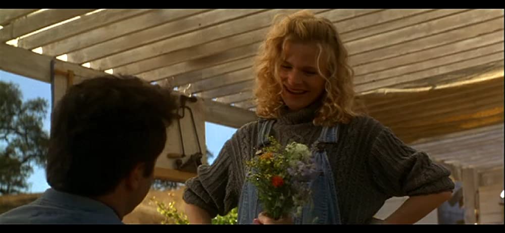 フェノミナンの画像