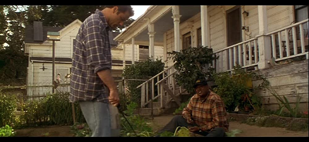 フェノミナンの画像