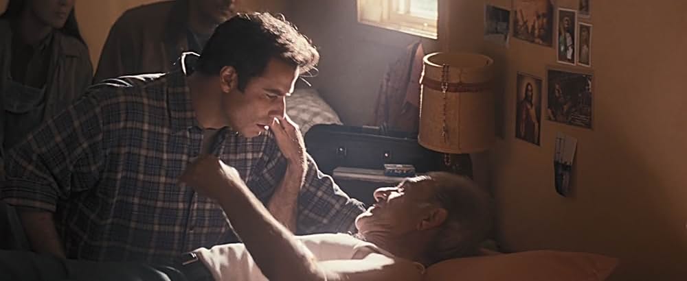 フェノミナンの画像