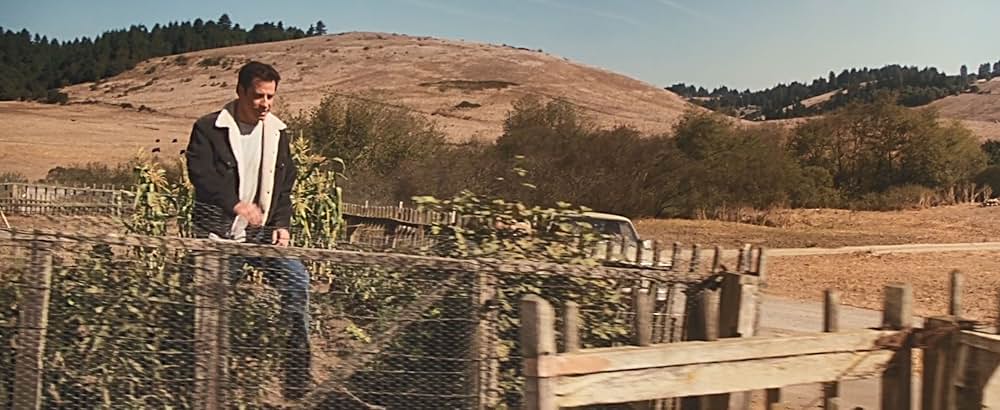 フェノミナンの画像