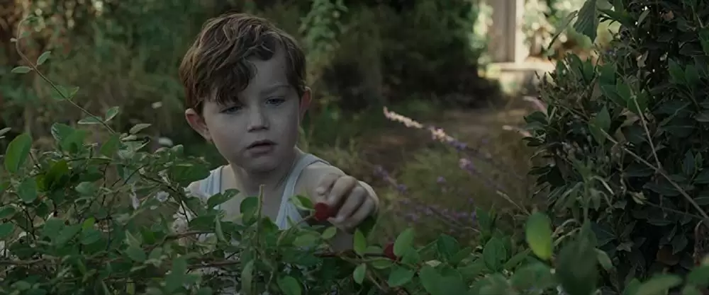 マローボーン家の掟の画像