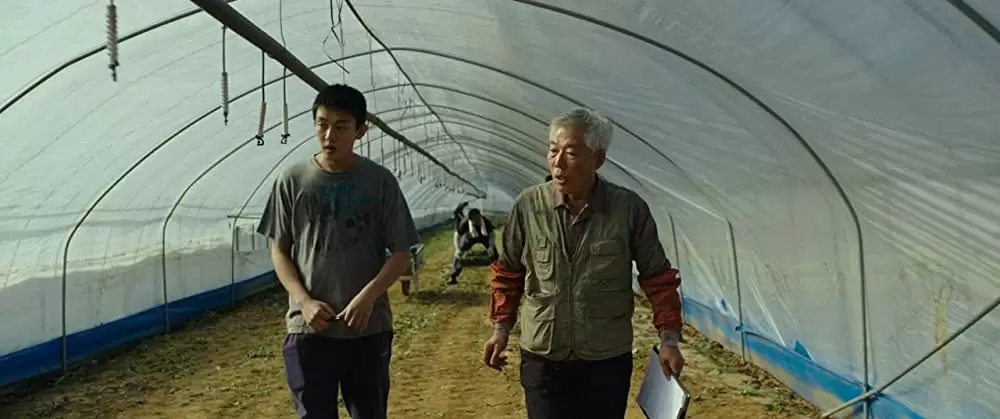 「バーニング 劇場版」ユ・アインの画像