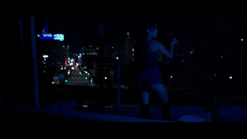 ハリウッド・ヴァージン 甘い誘惑に堕ちた夜の画像