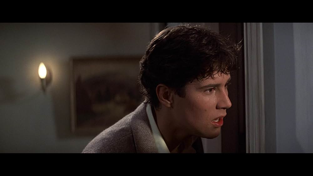 フライトナイトの画像