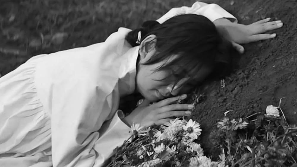 浜辺の村の画像