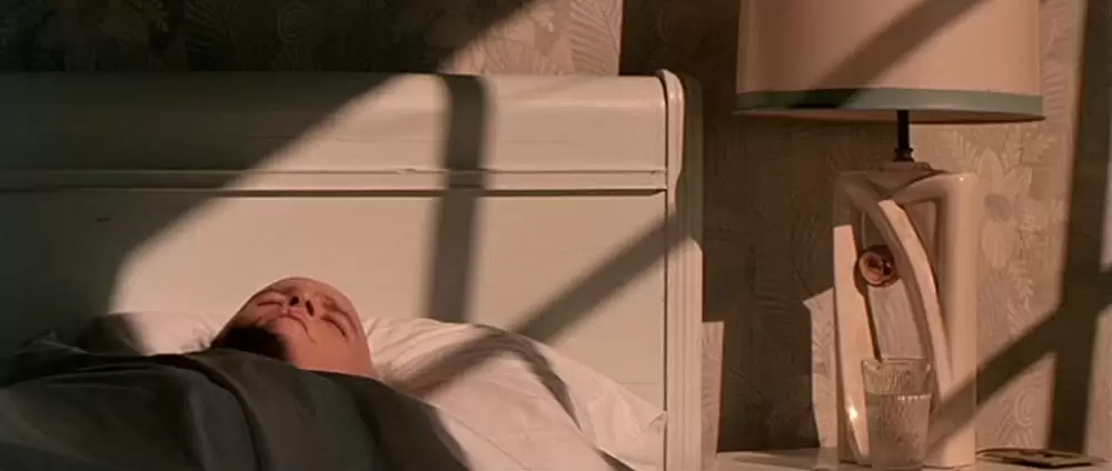 レッド・ドラゴン レクター博士の沈黙／刑事グラハム 凍りついた欲望の画像