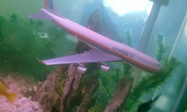 恋する惑星の画像