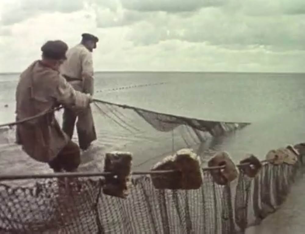 Malva（原題）の画像