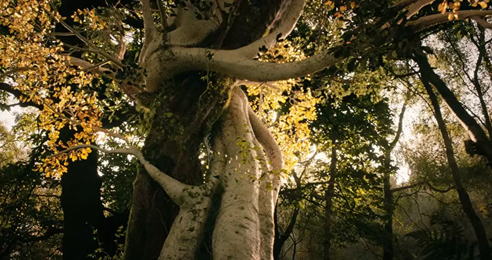 トールキン 旅のはじまりの画像