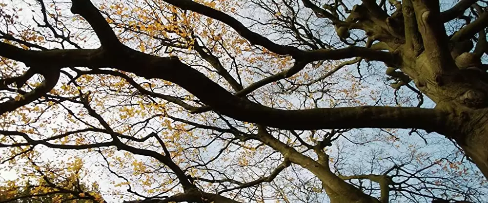 トールキン 旅のはじまりの画像