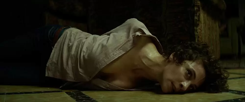 ザ・ガンマンの画像