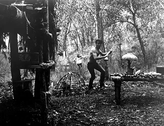 バッドランズ／地獄の逃避行の画像