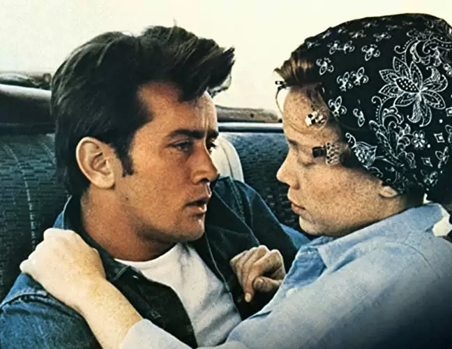 バッドランズ／地獄の逃避行の画像