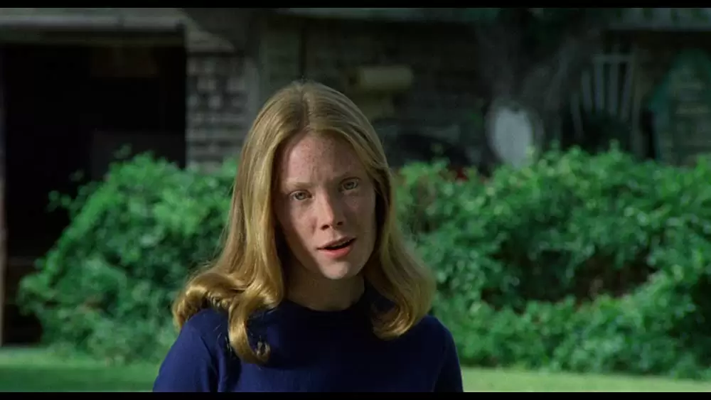 バッドランズ／地獄の逃避行の画像