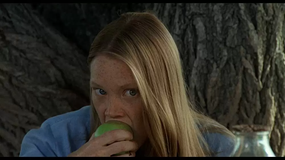 バッドランズ／地獄の逃避行の画像