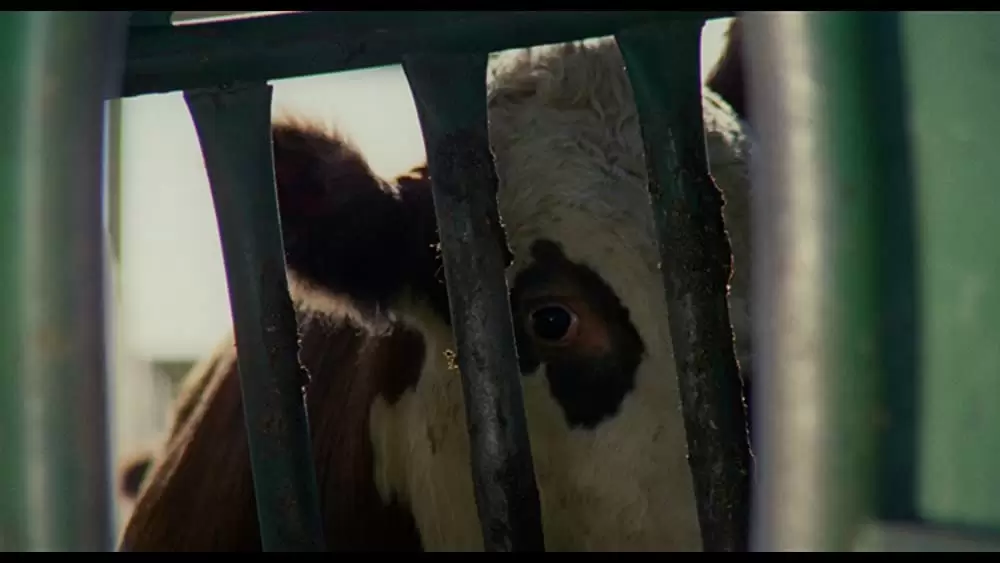 バッドランズ／地獄の逃避行の画像