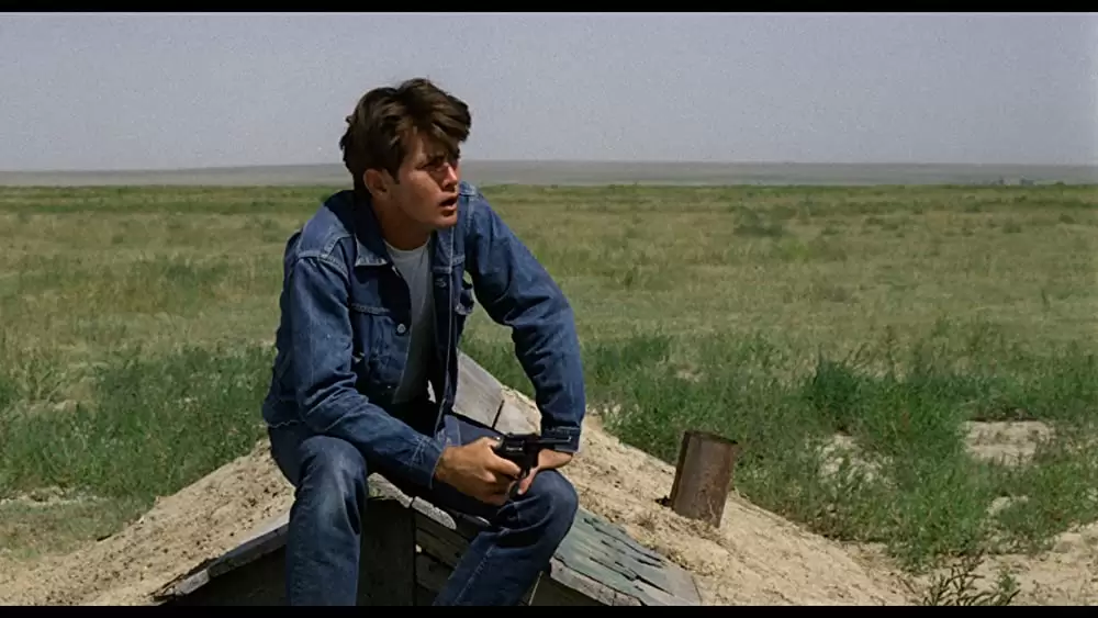 バッドランズ／地獄の逃避行の画像