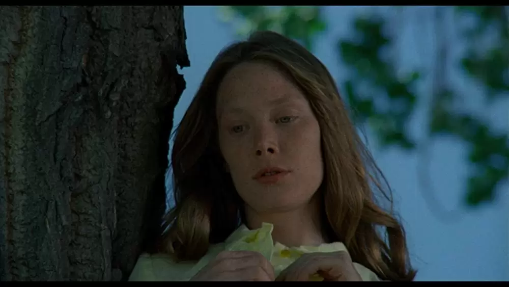 バッドランズ／地獄の逃避行の画像