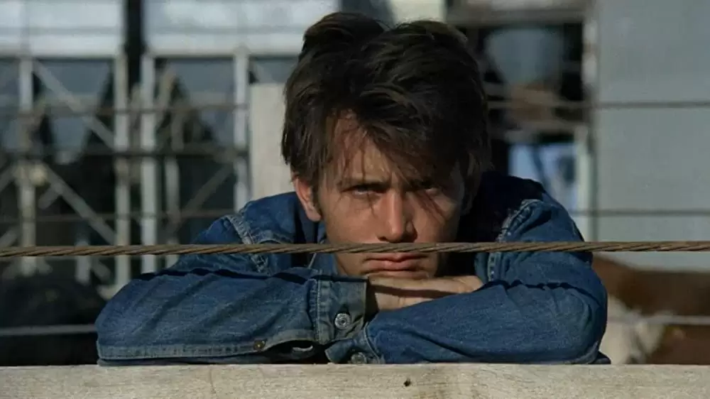 バッドランズ／地獄の逃避行の画像