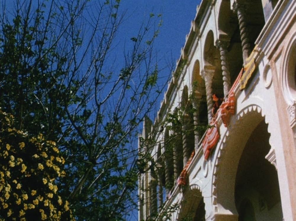 トルコ人たちのマドンナの画像