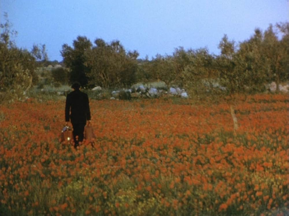 トルコ人たちのマドンナの画像