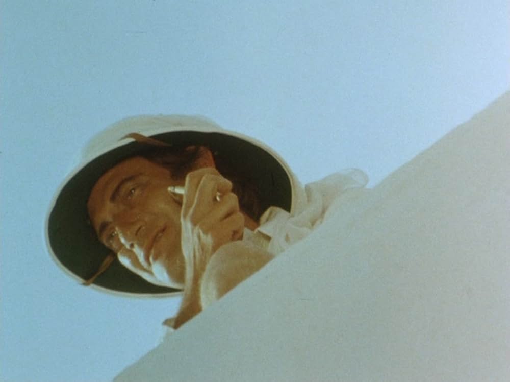 トルコ人たちのマドンナの画像