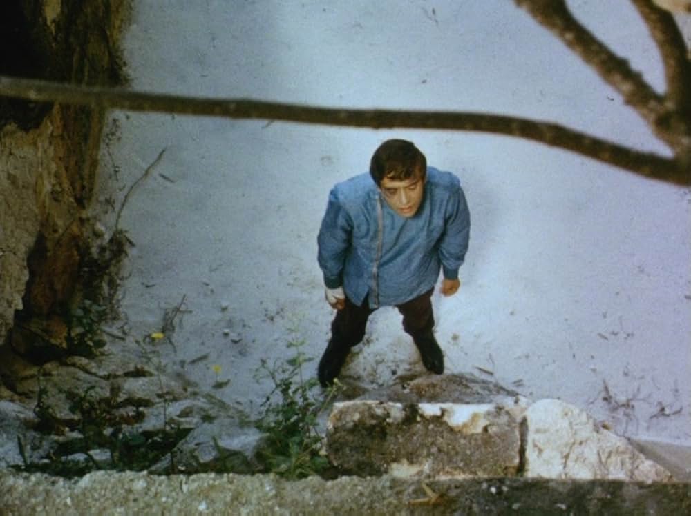 トルコ人たちのマドンナの画像