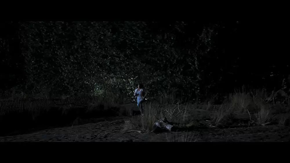 「ダブル・ジョパディー」の画像