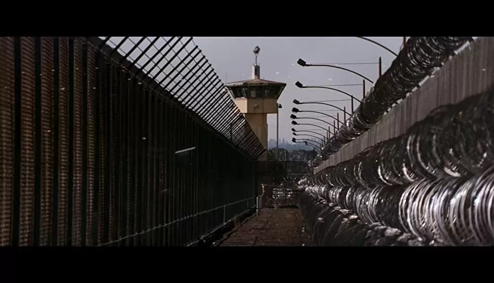 「ダブル・ジョパディー」の画像