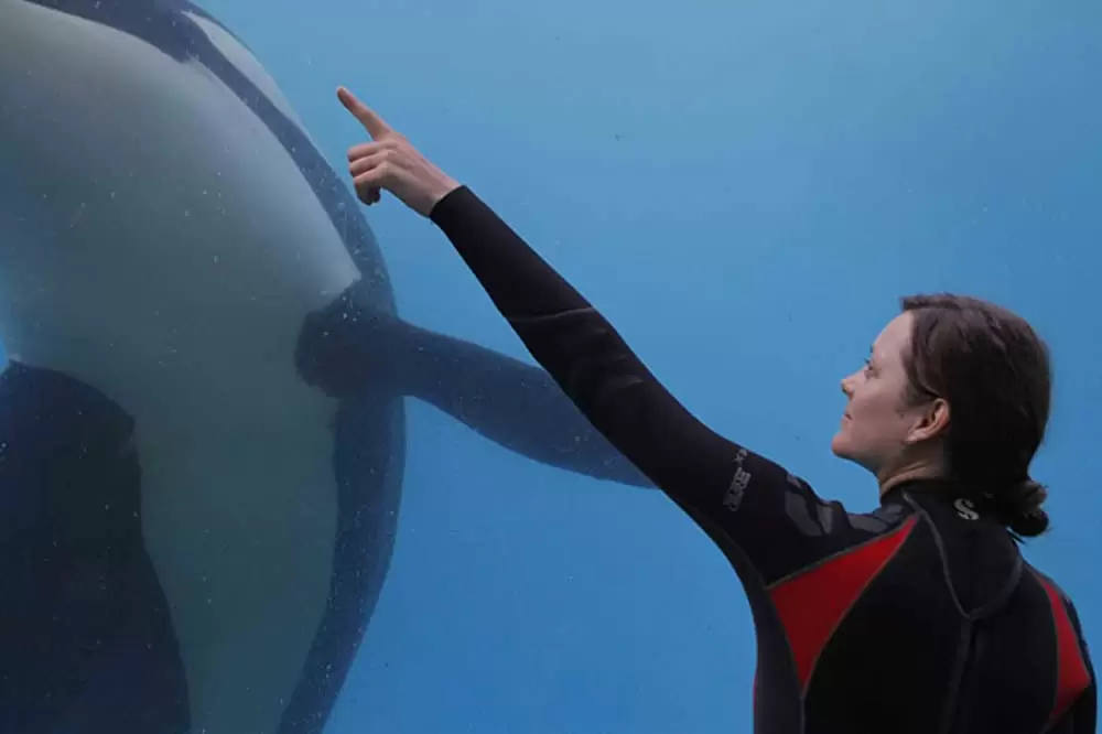 君と歩く世界の画像