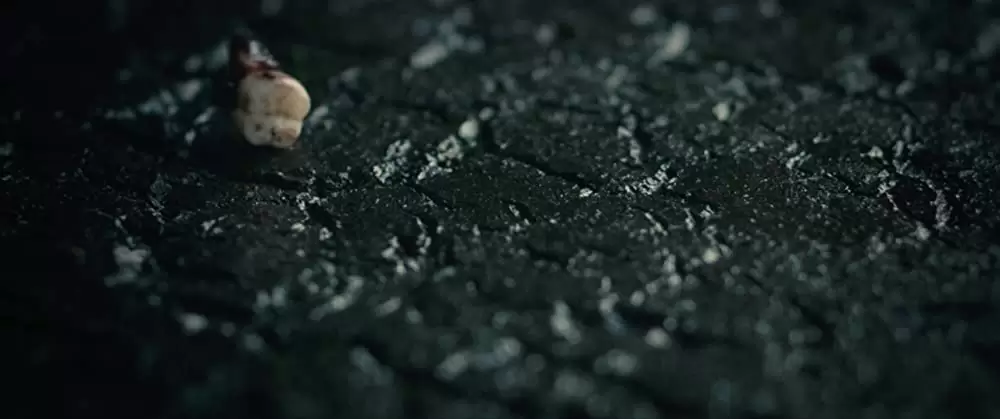 君と歩く世界の画像